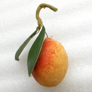 Old Antique Vintage Cotton USSR Christmas Ornament Apricot