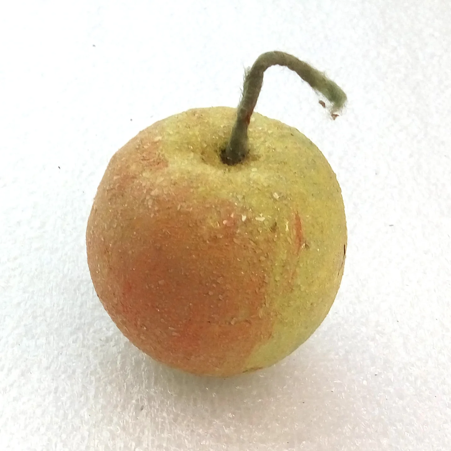 Old Antique Vintage Papier Mache Christmas Ornaments Apple